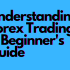 Risk Management in Forex Trading: Protecting Your Capital